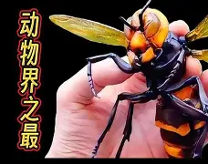 LOL官网登录入口-关于晢檜2廮膪床GQ??t怪蔘D鄵c槀?鶤囿骡,櫴B]F